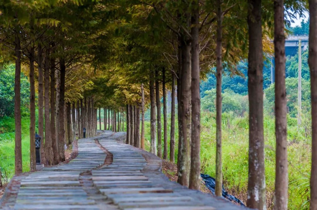 来昌坊赏美景,探宝物,赢大奖啦!