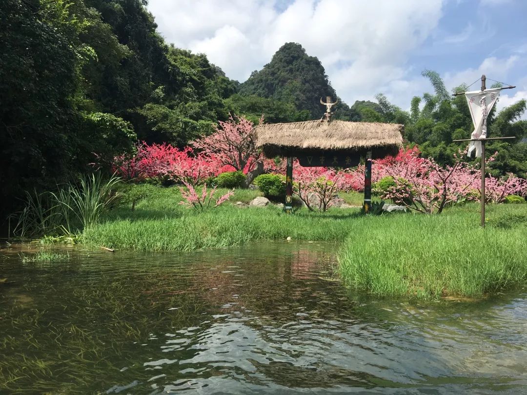 1150桂林灕江羅山湖風情島世外桃源