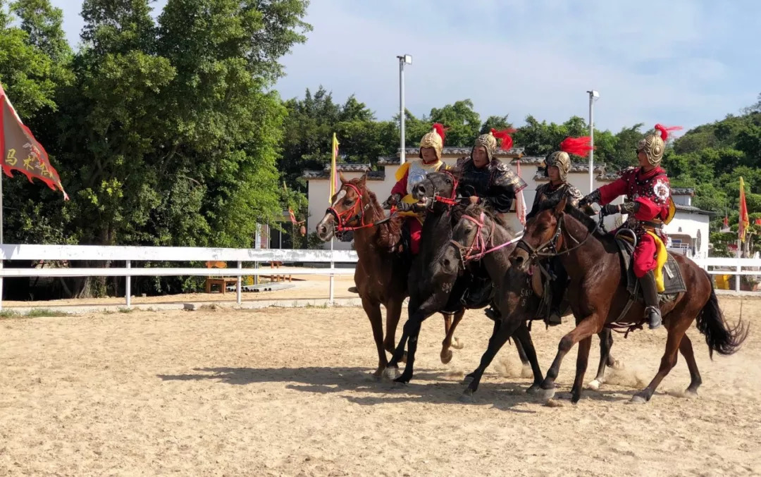 表演了馬背站立倒立,飛車躍馬,飛馬轉體,馬踏飛燕,倒掛金鉤,馬背橫撐