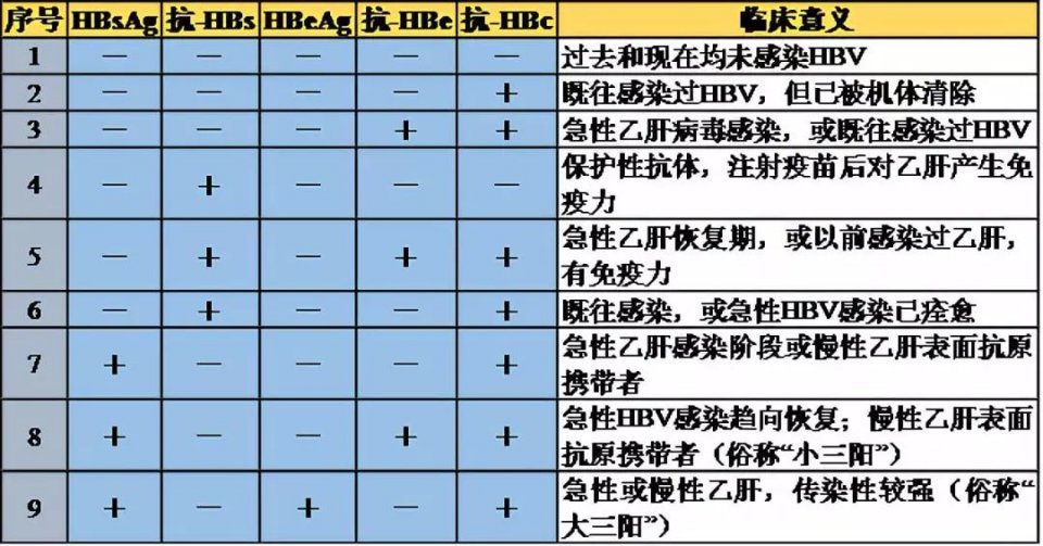 乙肝表面抗体和核心抗体阳性是怎么回事?