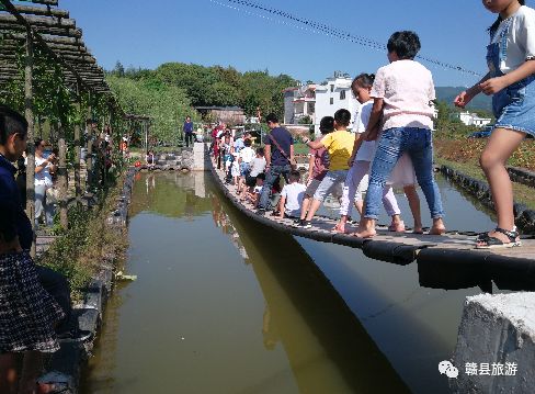 五雲祥雲湖紫薇小鎮紫薇小鎮吸引遊客一起吃美食賞美景江口小麻洲戶外