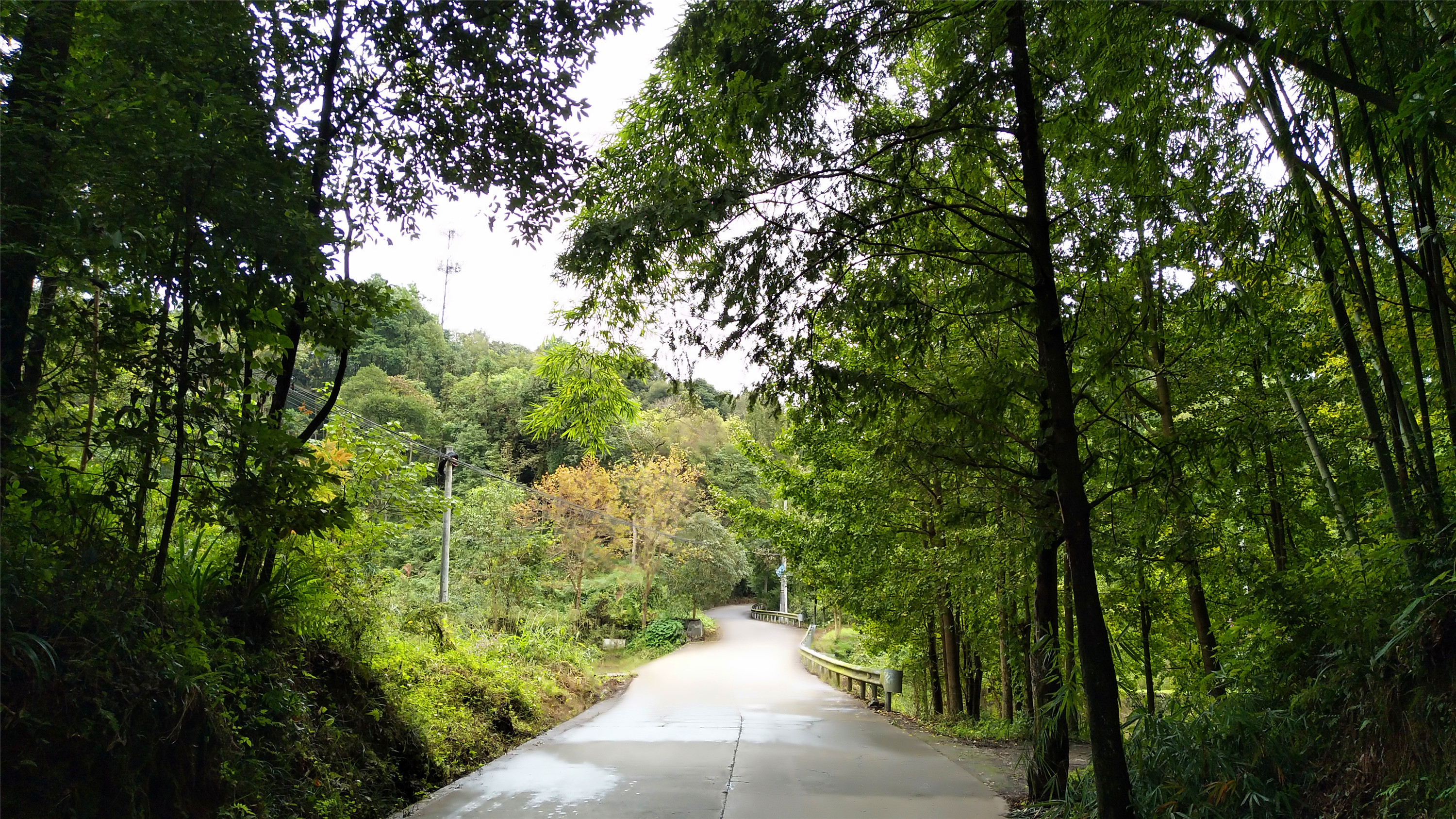 2018102半日遊躲在都江堰蒲陽鎮丹鳳山南麓的川中勝景般若寺