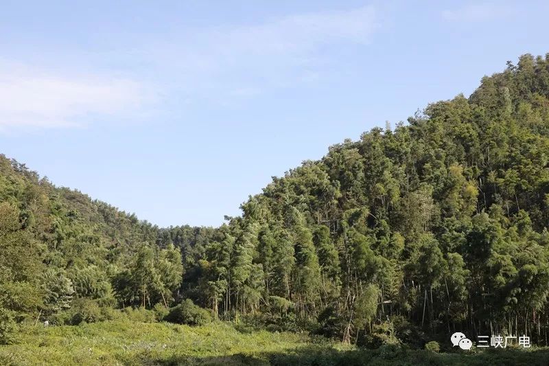 第四站:獅子峰景區獅子峰位於太平鎮泮溪村,觀察水庫西南,山峰形如蹲