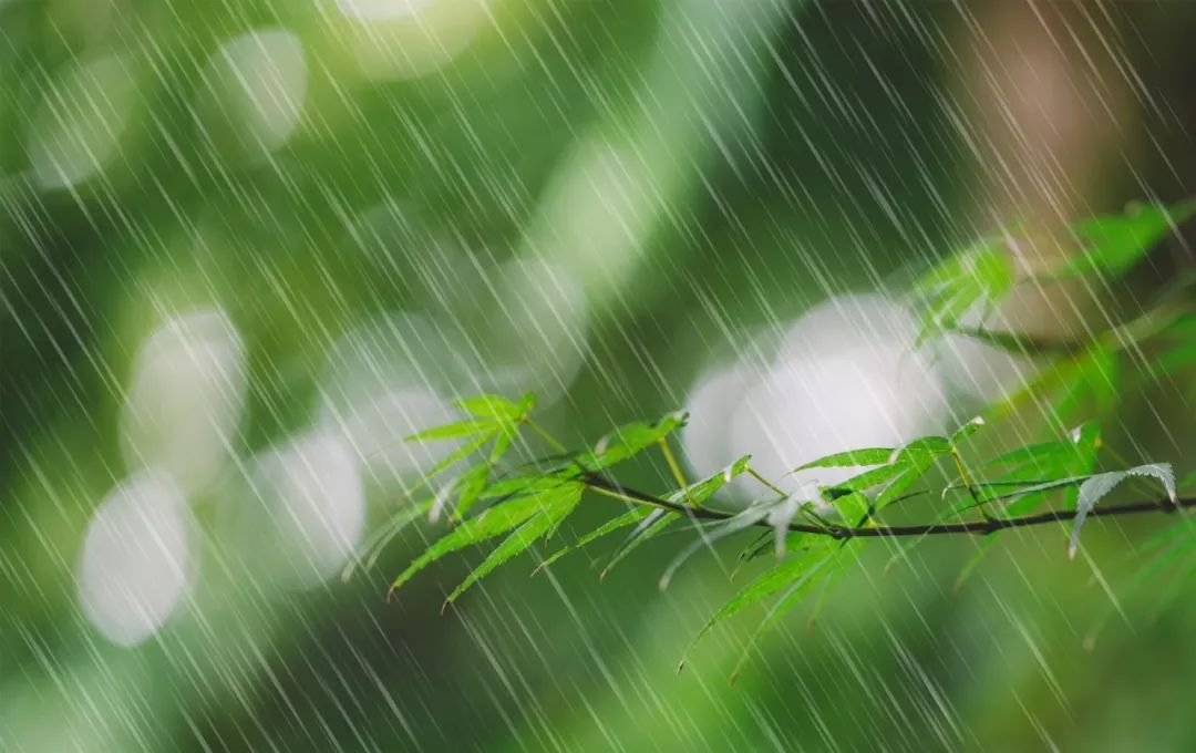 雨落成詩,你身邊的雨,下成了哪首詩?