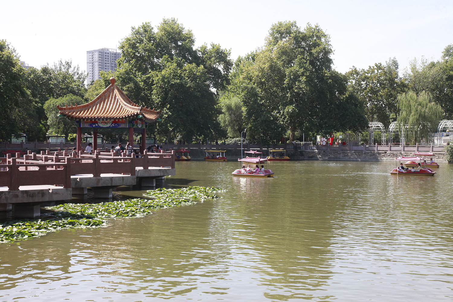 看一下河濱公園人工湖升級改造的模樣