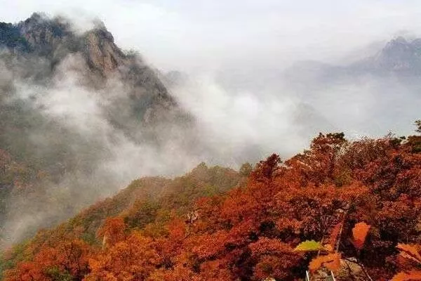 短途周邊遊火爆,汝陽景區迎接待高峰