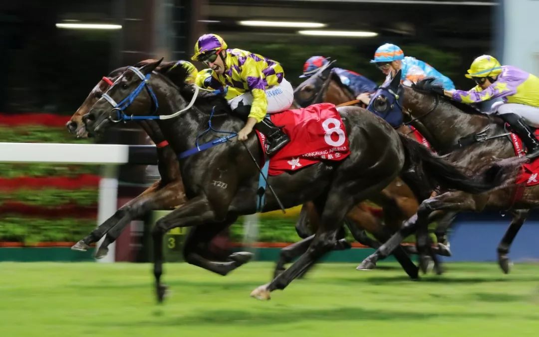 【跑馬地賽事】冠忠巴士賽馬夜, 潘頓兩捷兼捧杯