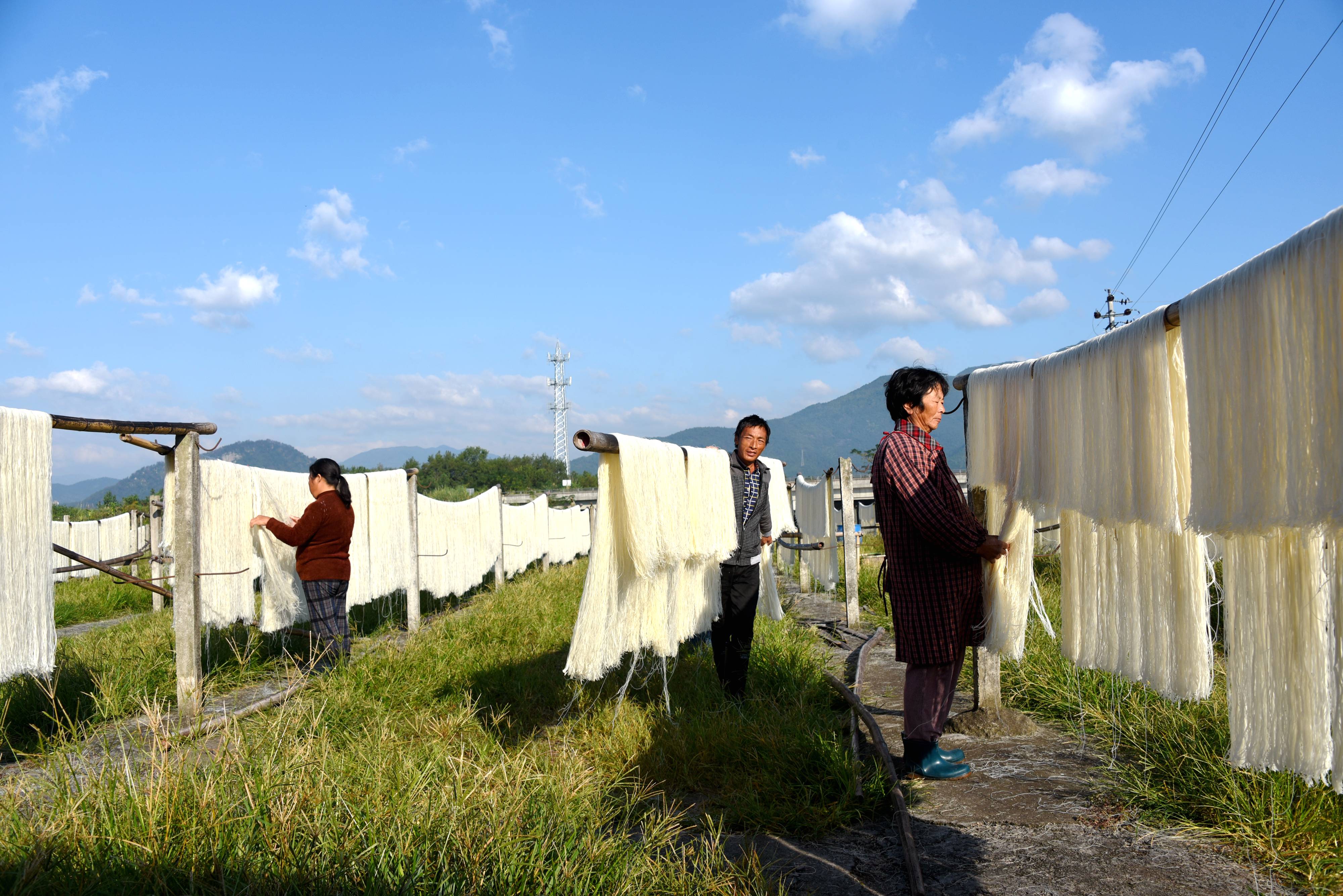 浙江省仙居县白塔镇后垟村是当地闻名的"米面村"