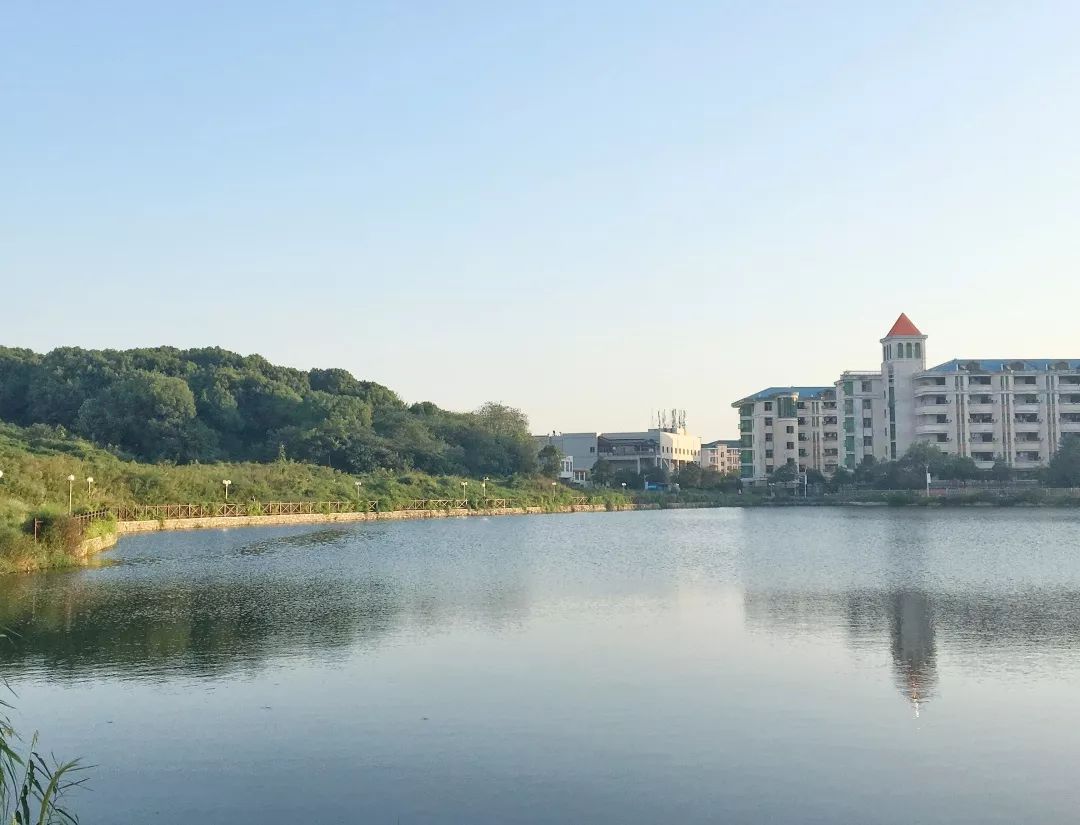 湘潭大学琴湖图片