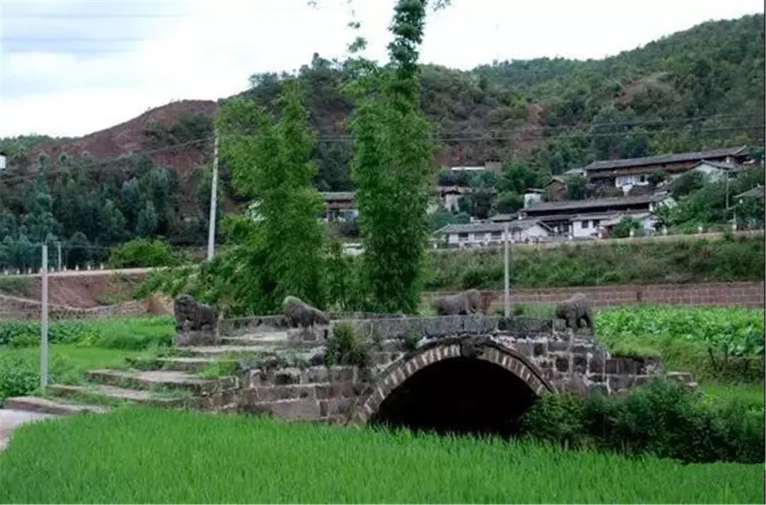 牟定縣安樂鄉小屯村委會小屯村○小屯村是一個處處皆化石的奇特村落