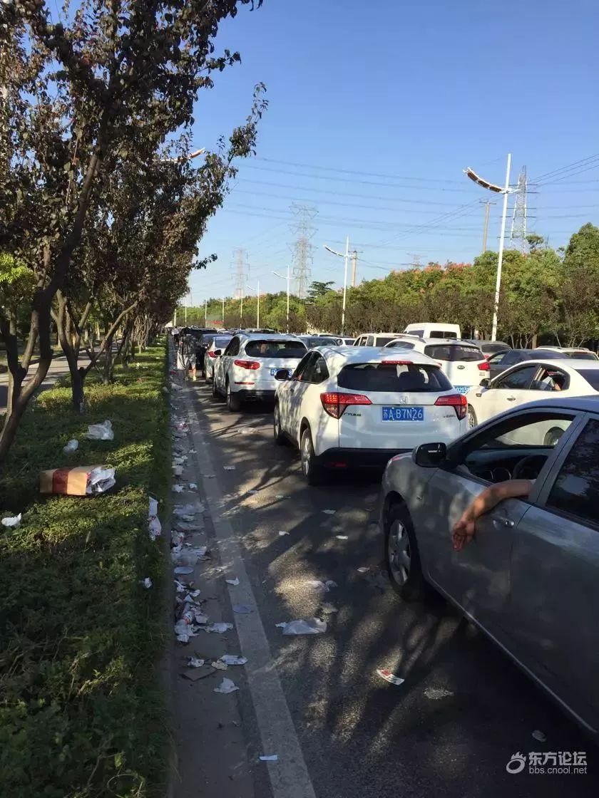 觸目驚心寧波女子走高速探親被堵車後的素質驚呆了