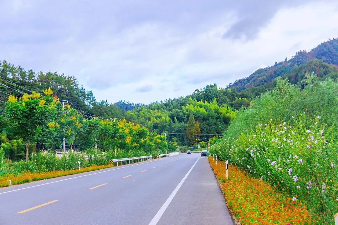 一花一世界一路一风景醉美缙云公路国庆欢迎您