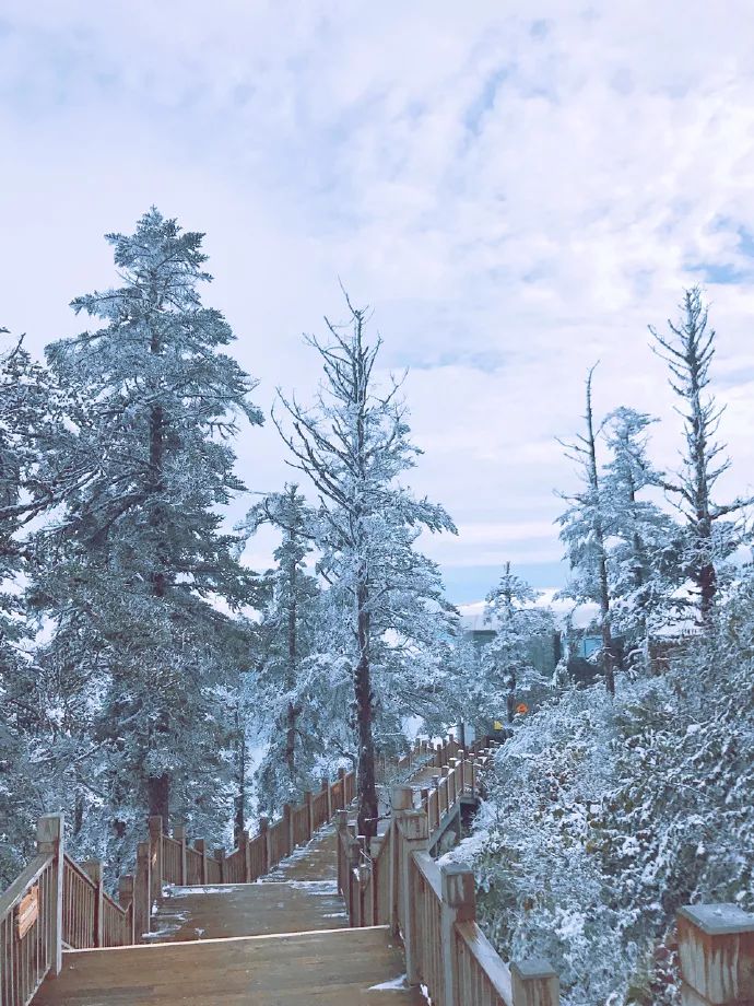 四川多個景區迎來初雪折多山已恢復雙向通行交警提示記得帶防滑鏈