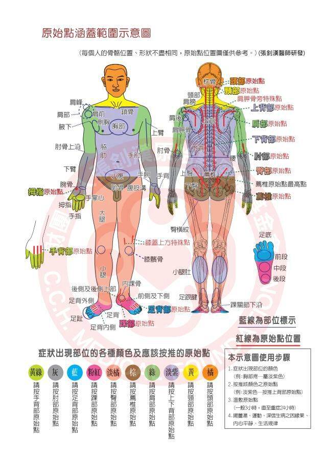 人体原始点分布图图片