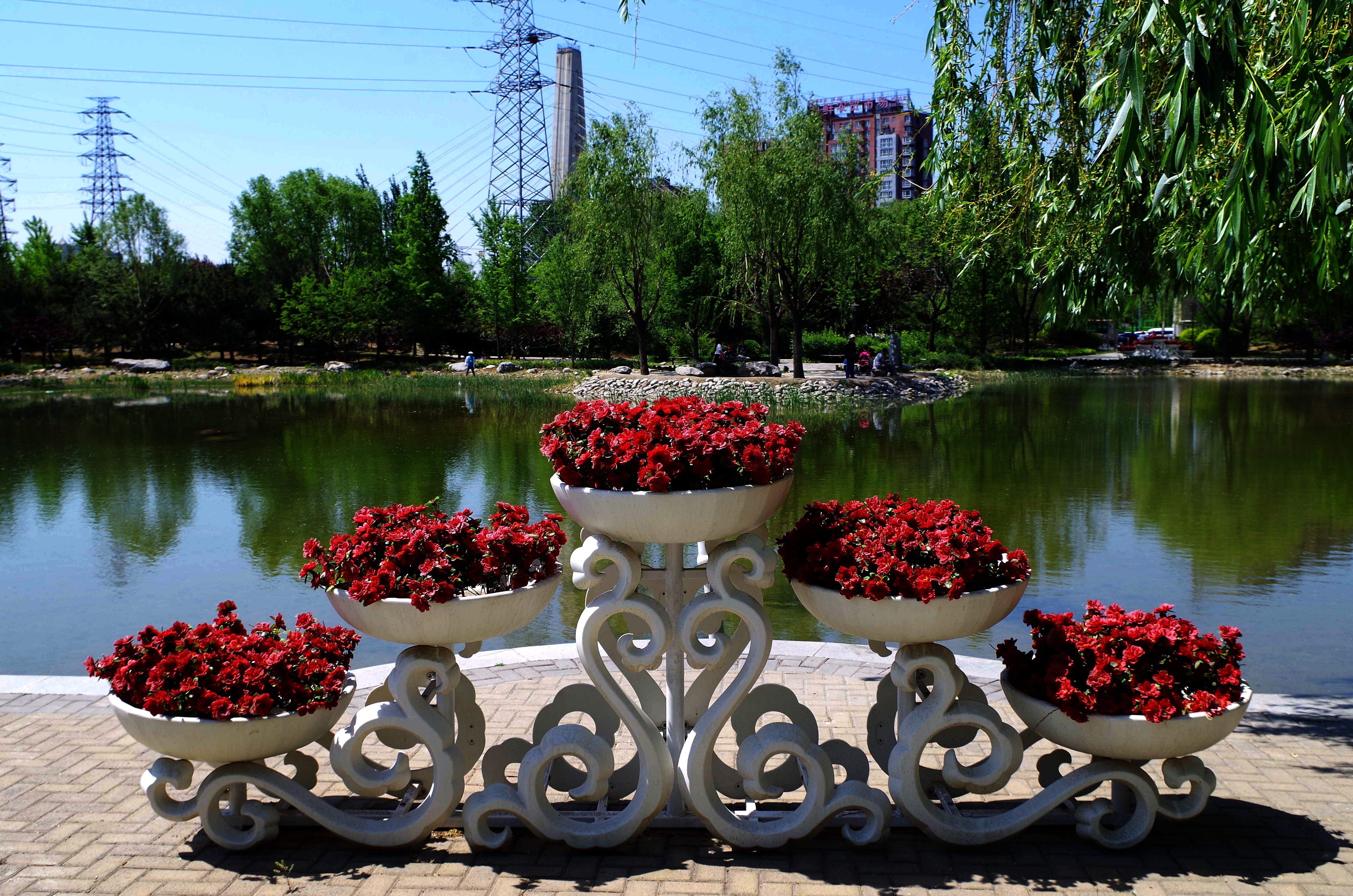 北京立水桥公园图片
