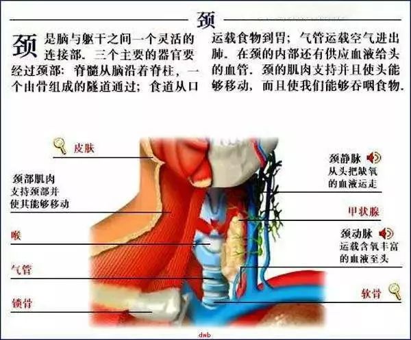 骑车时别这么做有致命危险