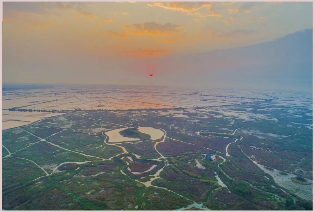 這個國慶長假不來洪澤湖溼地看看感覺錯過了一個億的美麗