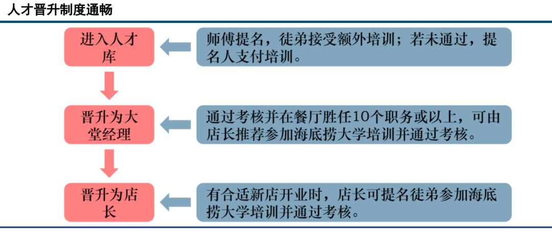 金融学不会海底捞传销式师徒制也许才是它最大的商业机密