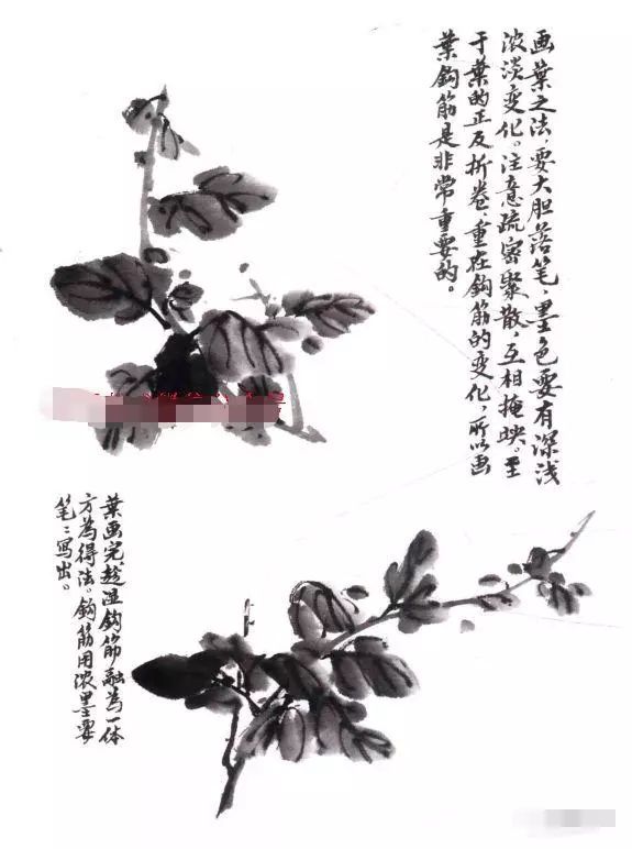 写意墨菊画法墨菊画花叶技法详解菊花的各种画法教程