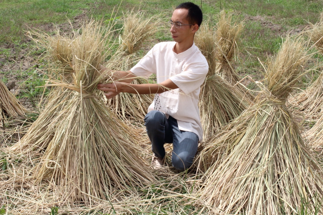 农村娃小时候的回忆那些年陪伴我们长大的稻草人现在还有吗