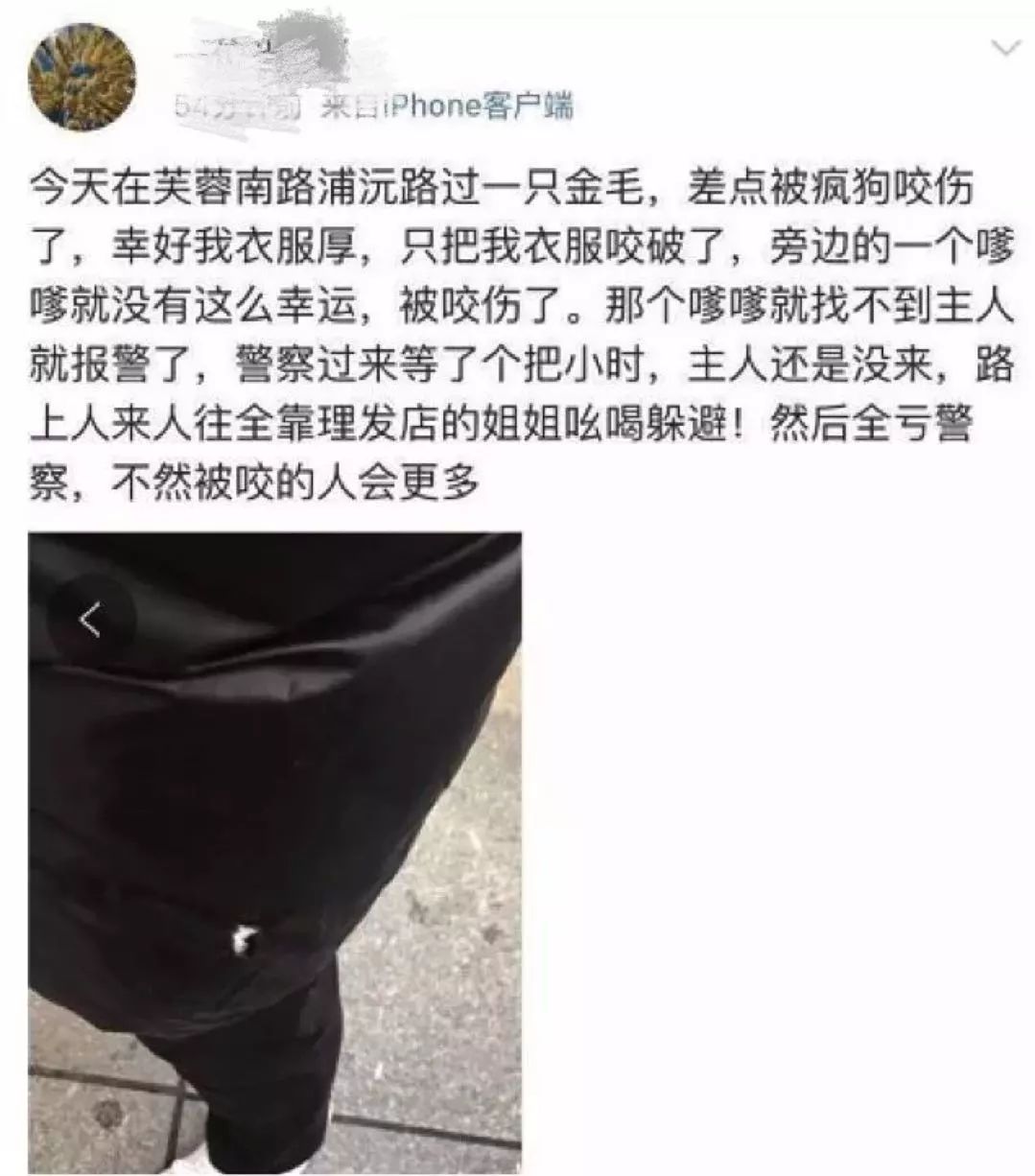 本想將金毛打暈後帶走,沒想到此狗十分野蠻兇猛,民警無奈之下,只能將