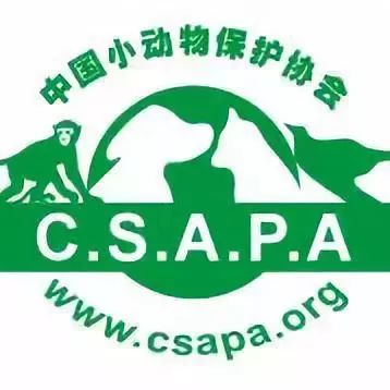 成立于1992年,中国小动物保护协会以珍爱生命,倡导精神文明和发扬人道
