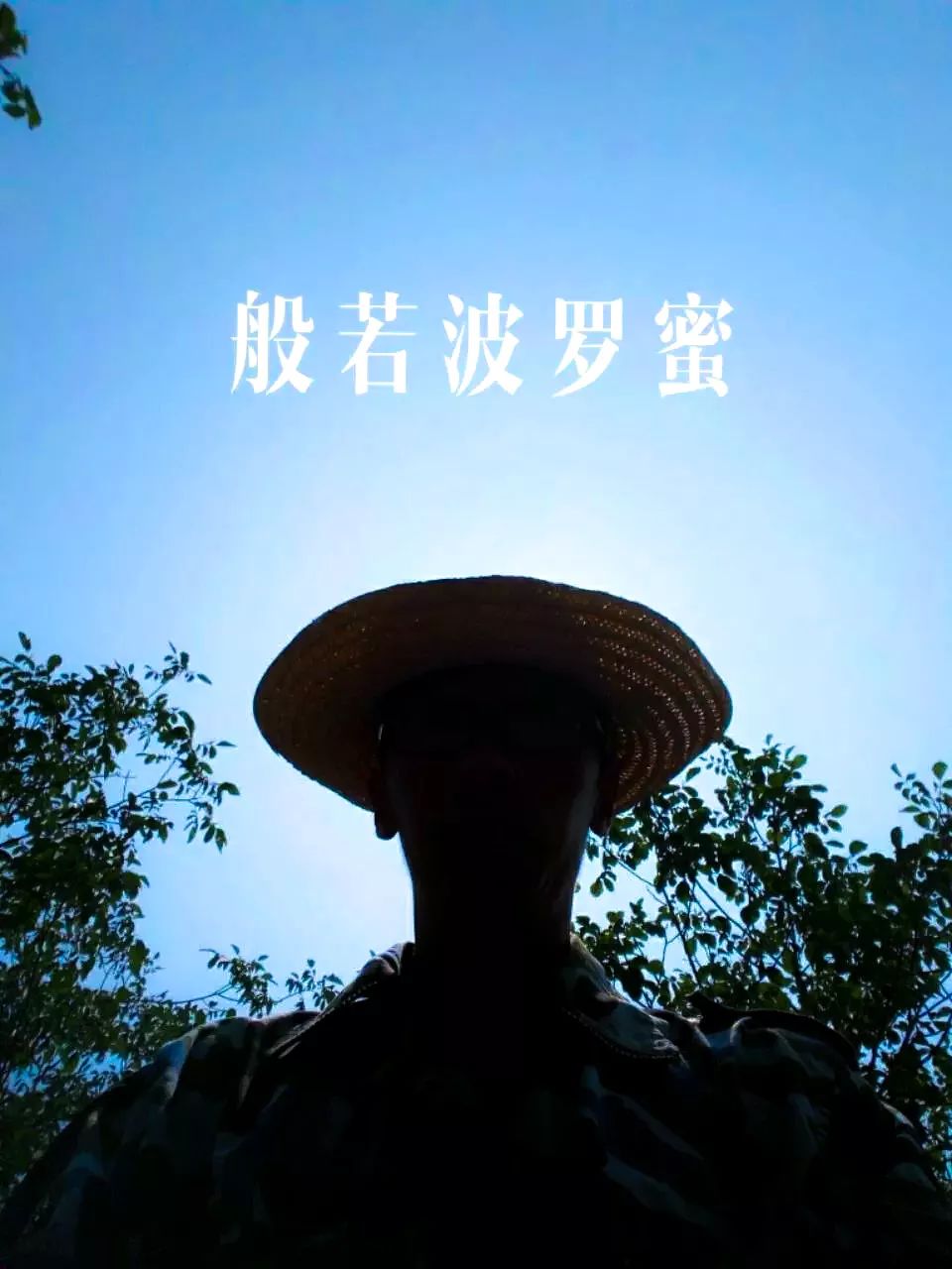 我的密雲我的10年