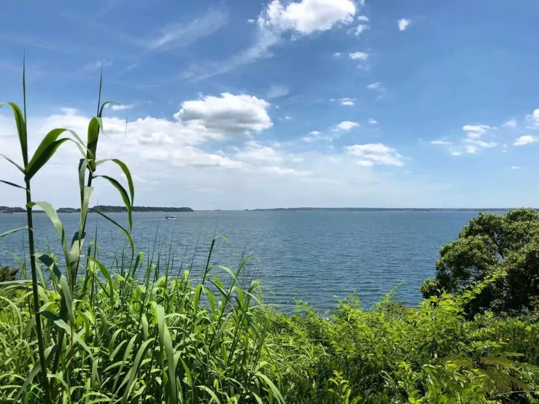 初探霓虹國與你看遍山河遠闊人間煙火