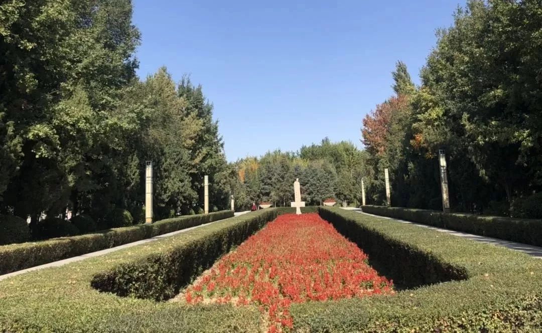 与其出门看人山人海不如到奎屯市锦绣园风景区赏秋景