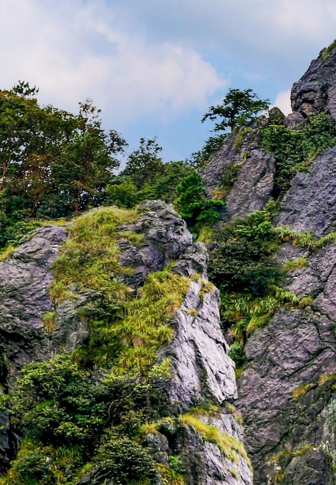 武宁神雾山风景区图片