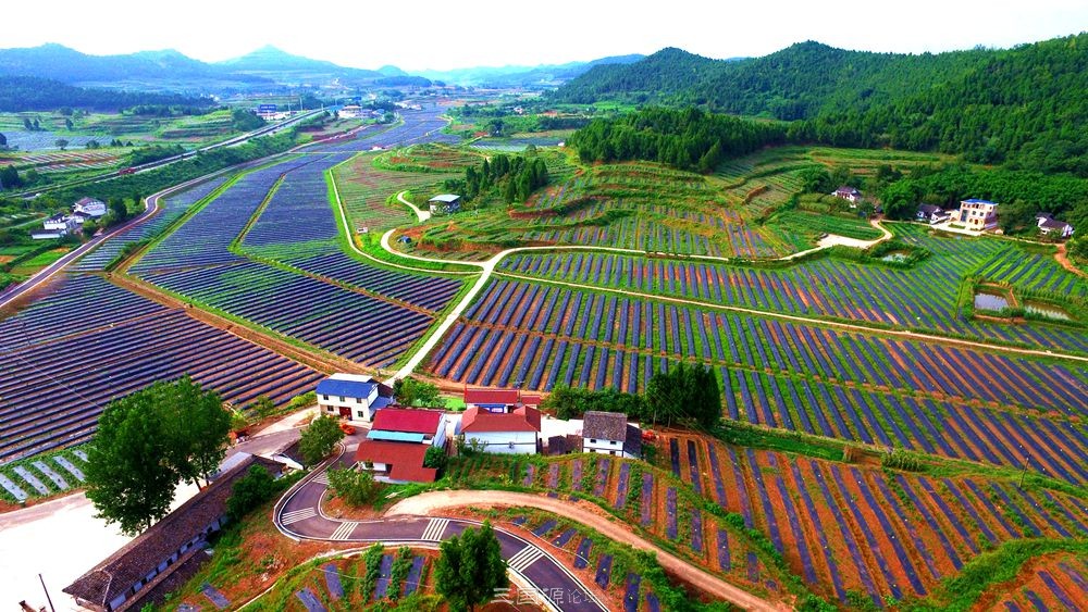 七彩大地,西充全域建設現代農業公園