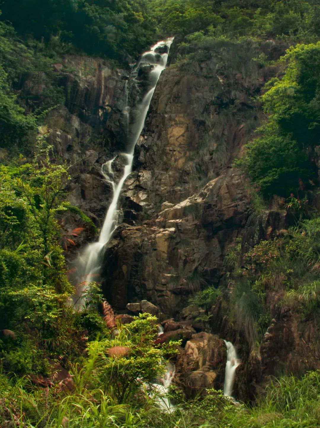 《篆山飞瀑-沈萍《静谧的青春-林蔚欣《礤岭富硒茶叶产业园