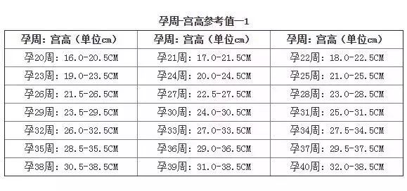 孕期飲食要規律,懷孕期孕婦肚子多大正常?這三項數據告訴你