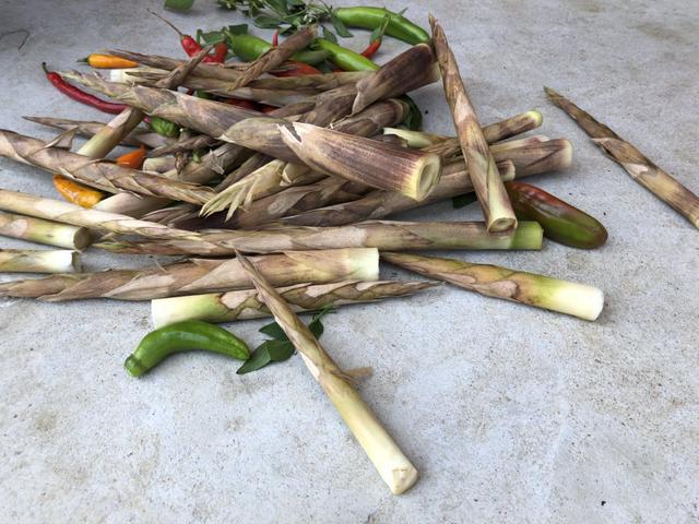 還在只吃冬筍和春筍這種筍現在是筍期家裡經常做餐餐不夠吃