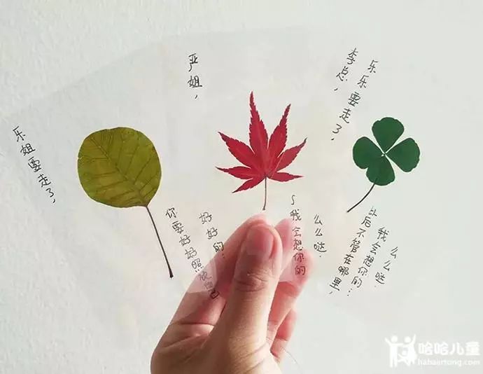 银杏树自然笔记图片