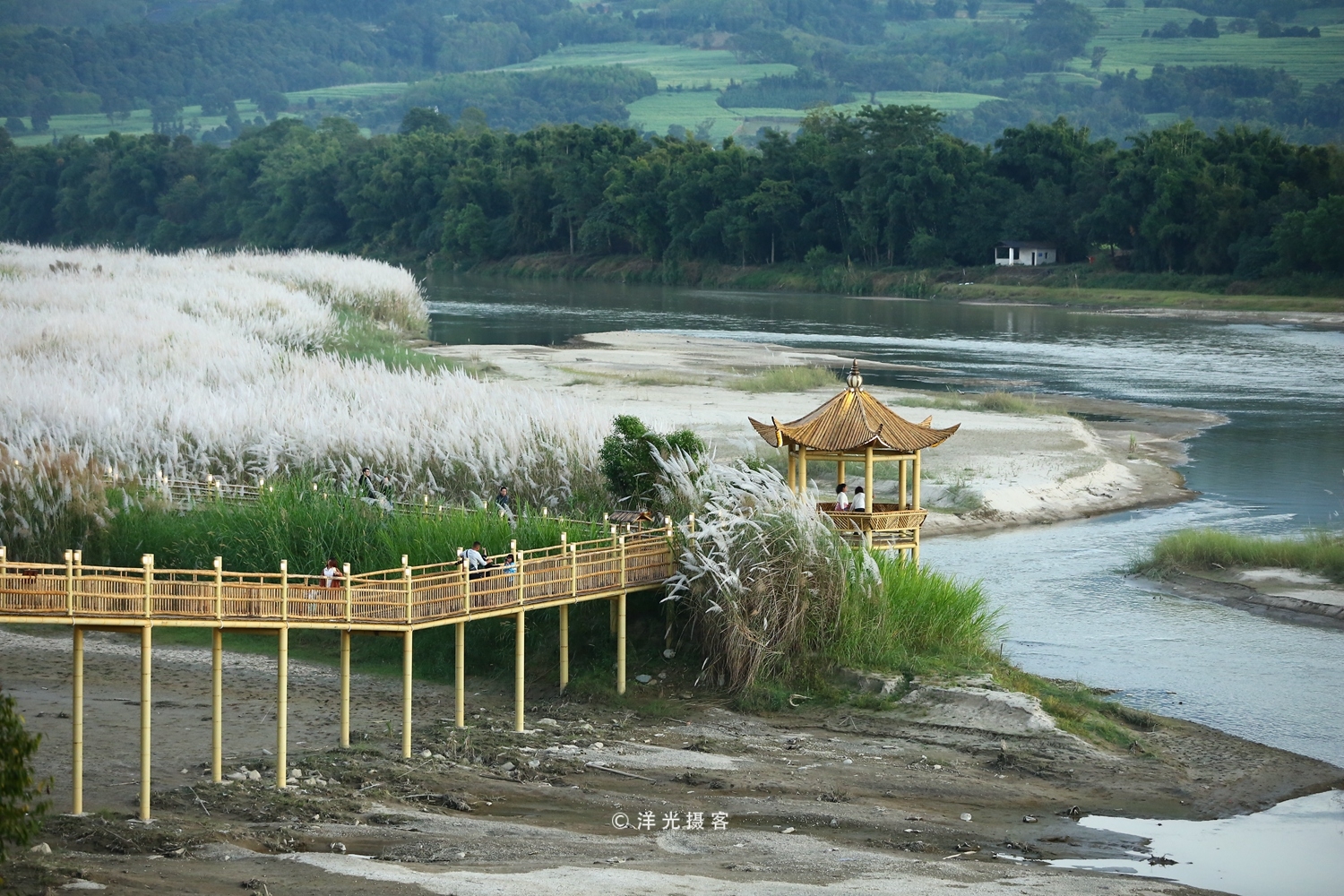 原生态的傣家竹桥横跨在芦苇花盛放的大盈江上,这才是最美的秋色