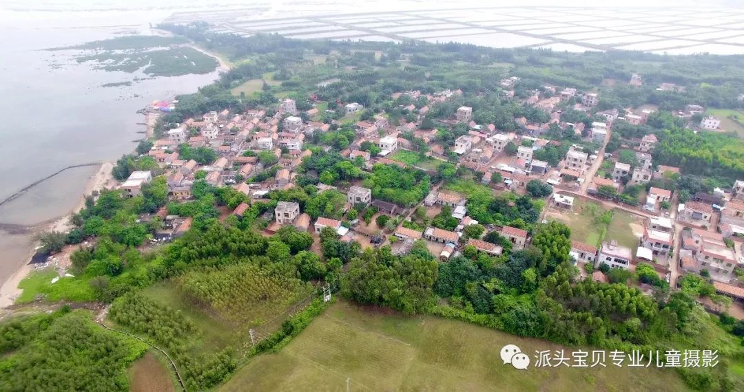 徐闻西连村欧小力介绍图片