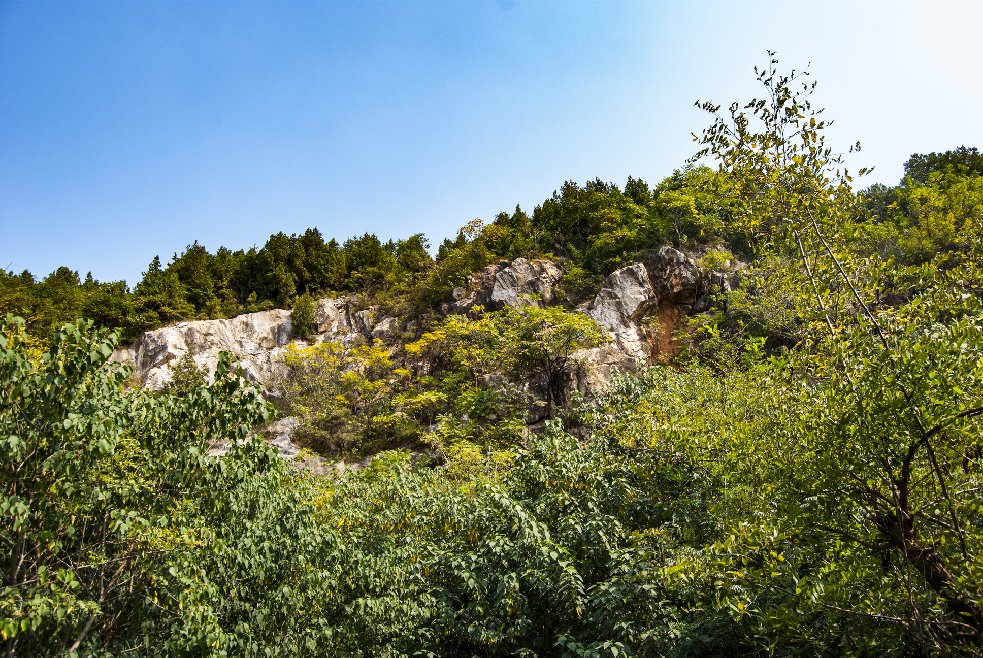 徐州九里山风景区图片