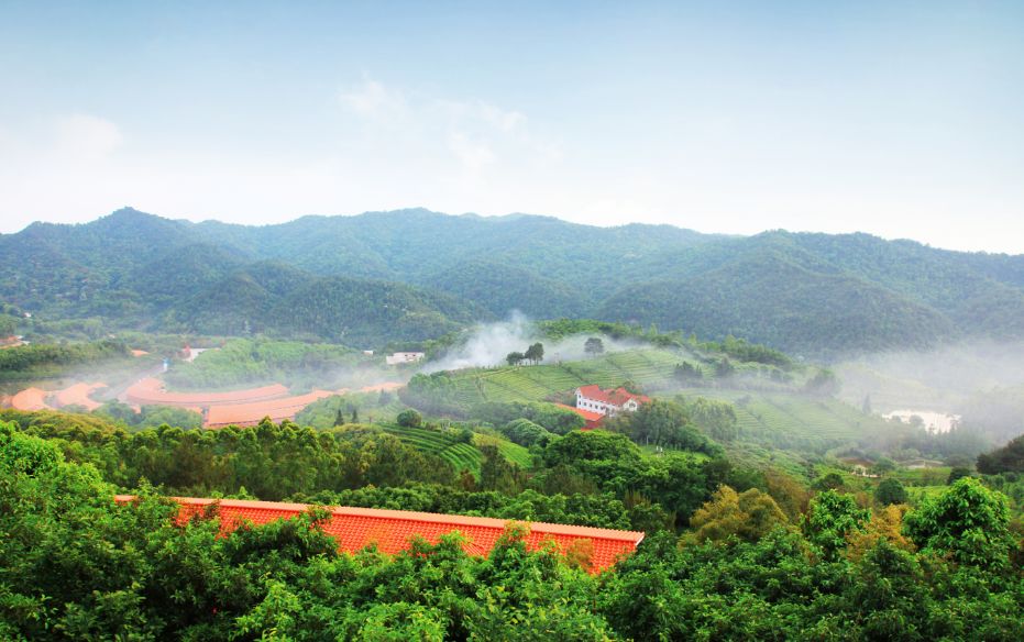 5a级景区的 雁南飞茶田度假村哟!