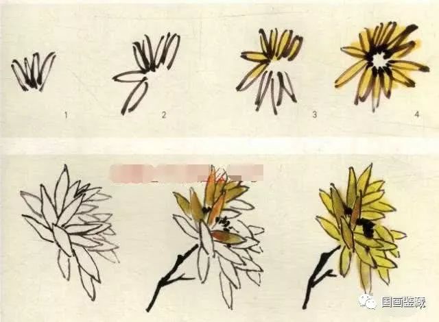 菊花水粉画法步骤图片图片