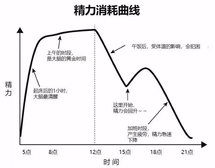 人一天的精力曲线图图片