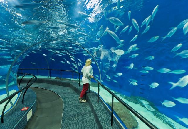 世界上最大的海洋馆图片