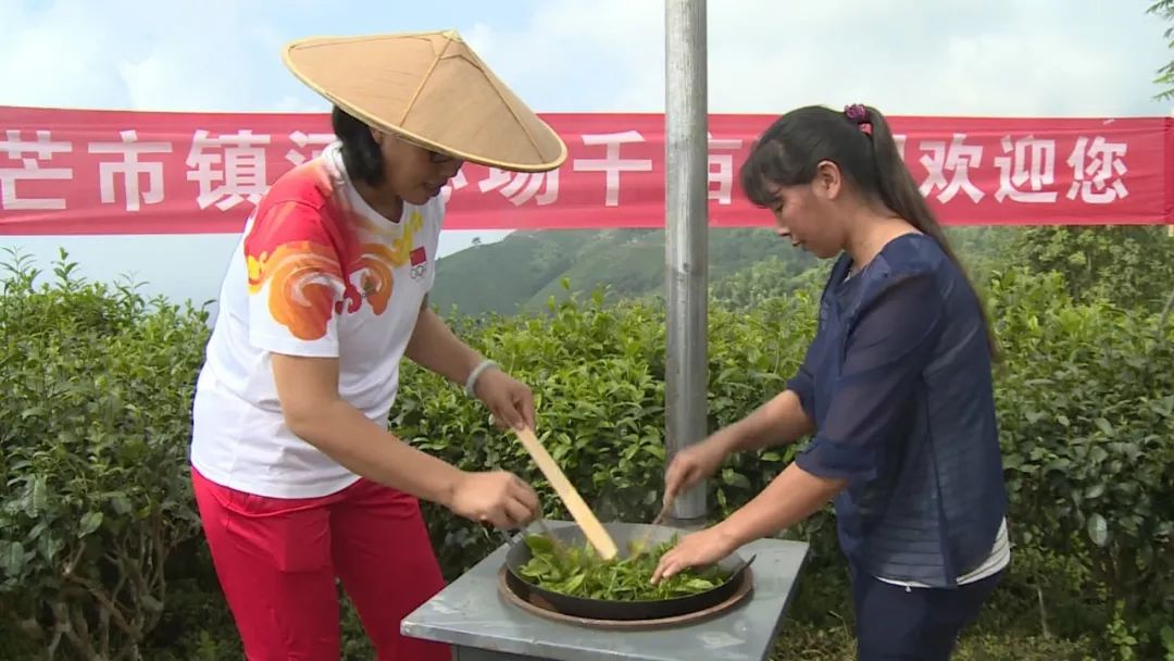 奥运,世界冠军畅游河心场生态茶园 与当地群众一起携手公益