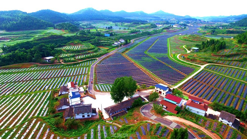 七彩大地,西充全域建设现代农业公园