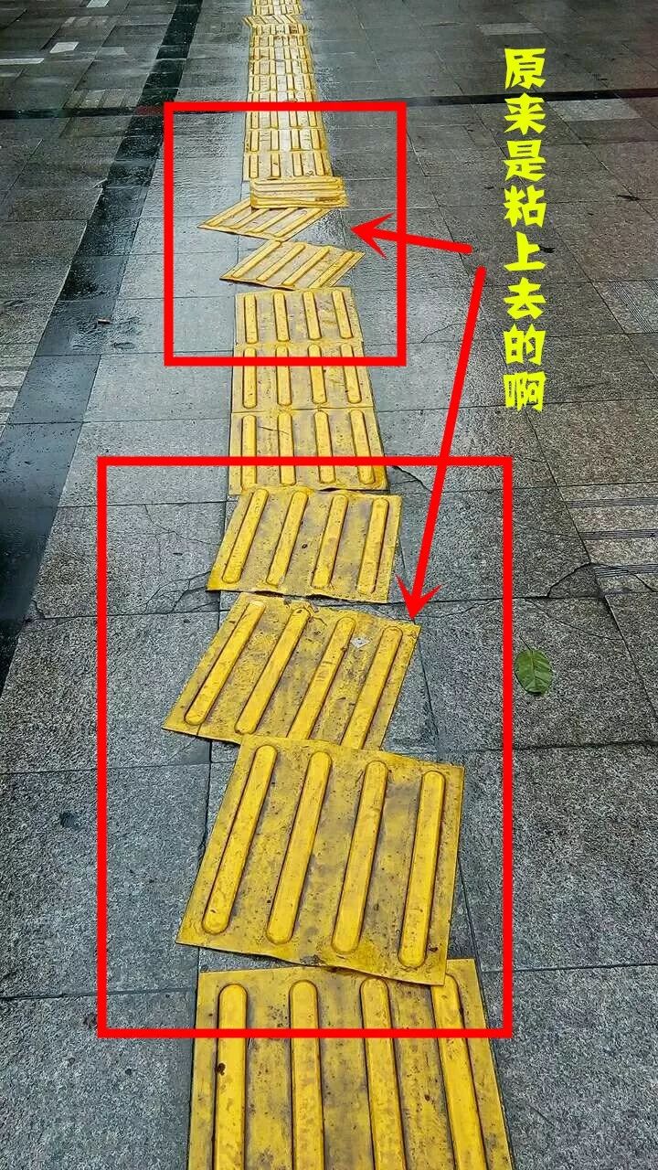 盲道问题图片