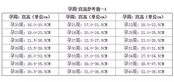 孕期饮食要规律