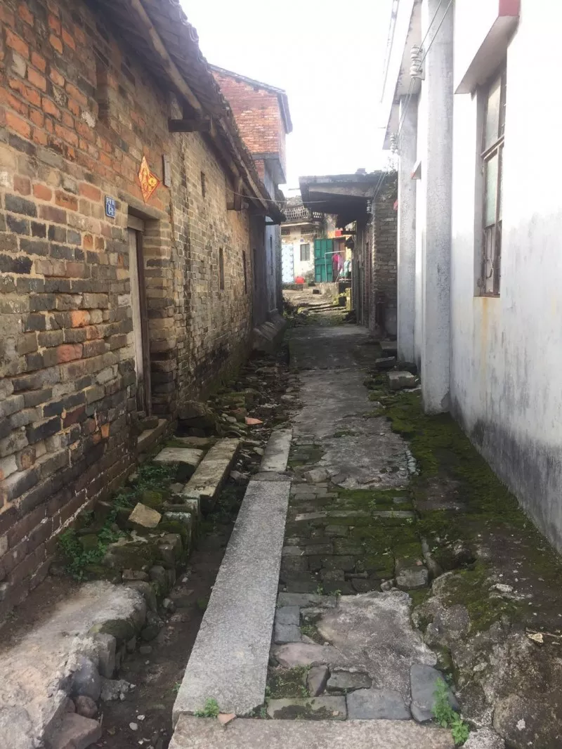 在最美民宿聚龙庄团建,圆你一个世外桃源的梦_何屋村