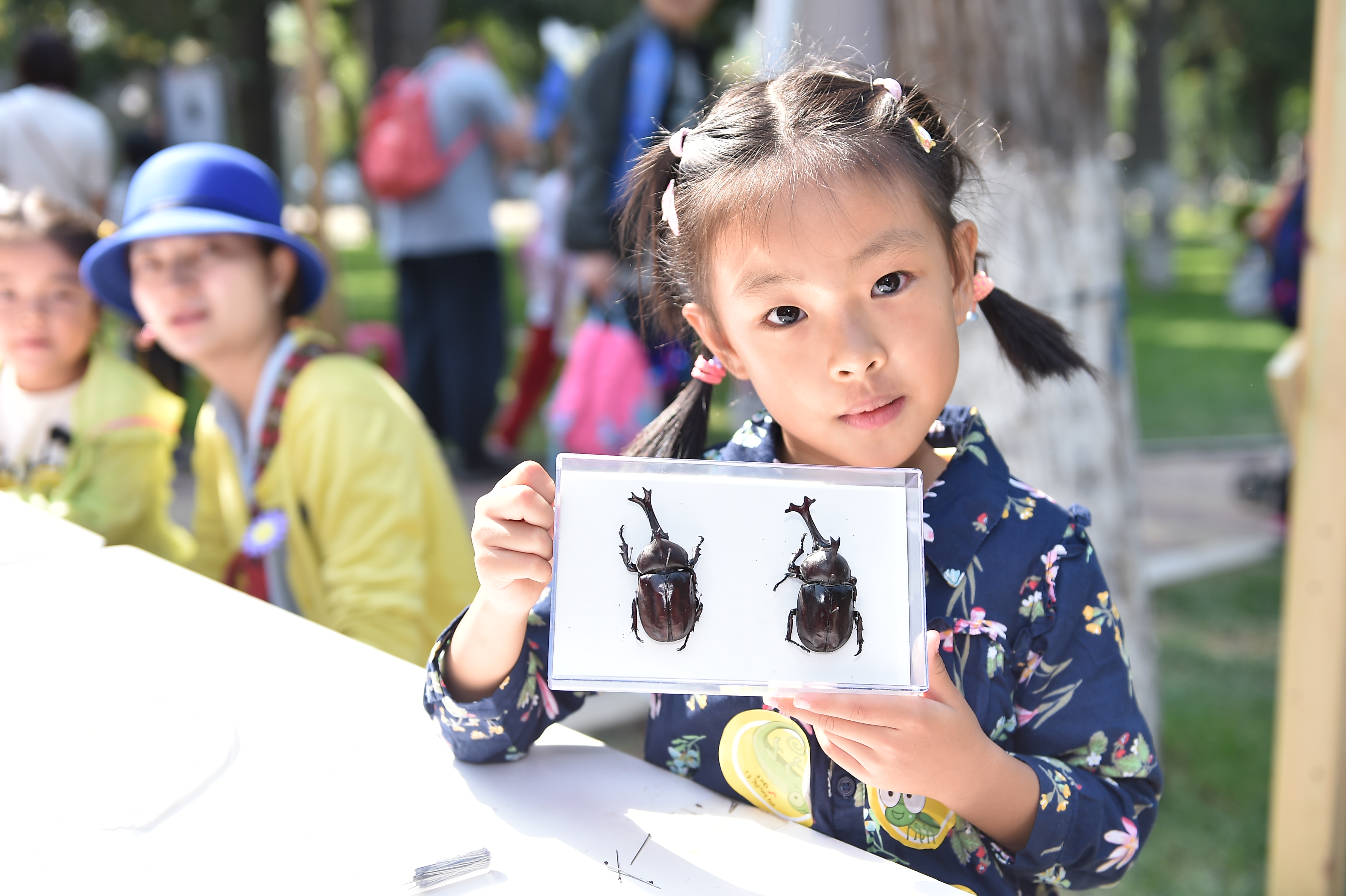 中國北京首屆昆蟲藝術科普展圓滿落幕,累計觀展人數近5萬