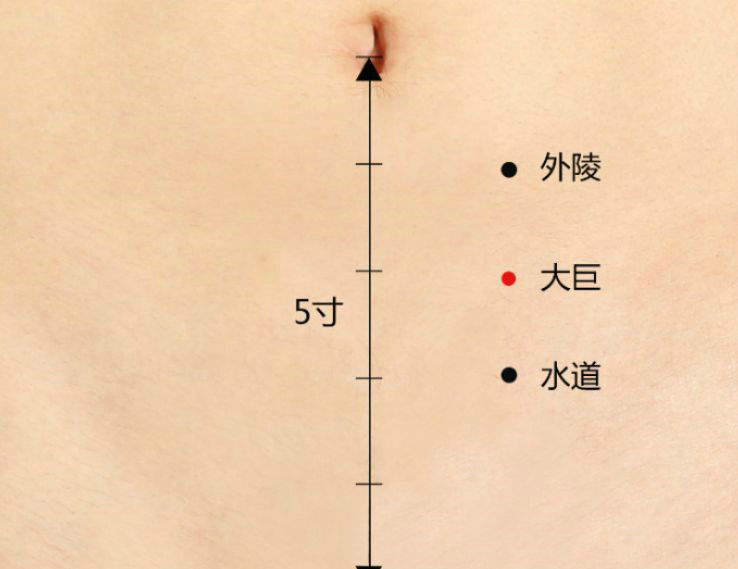 女性下腹部血位按摩图图片