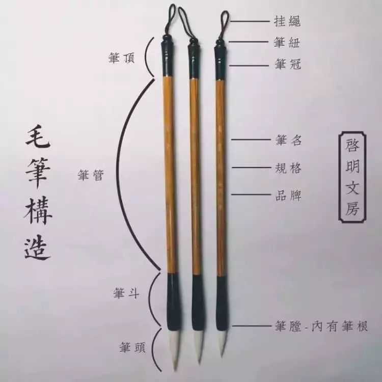 毛笔笔头结构图片